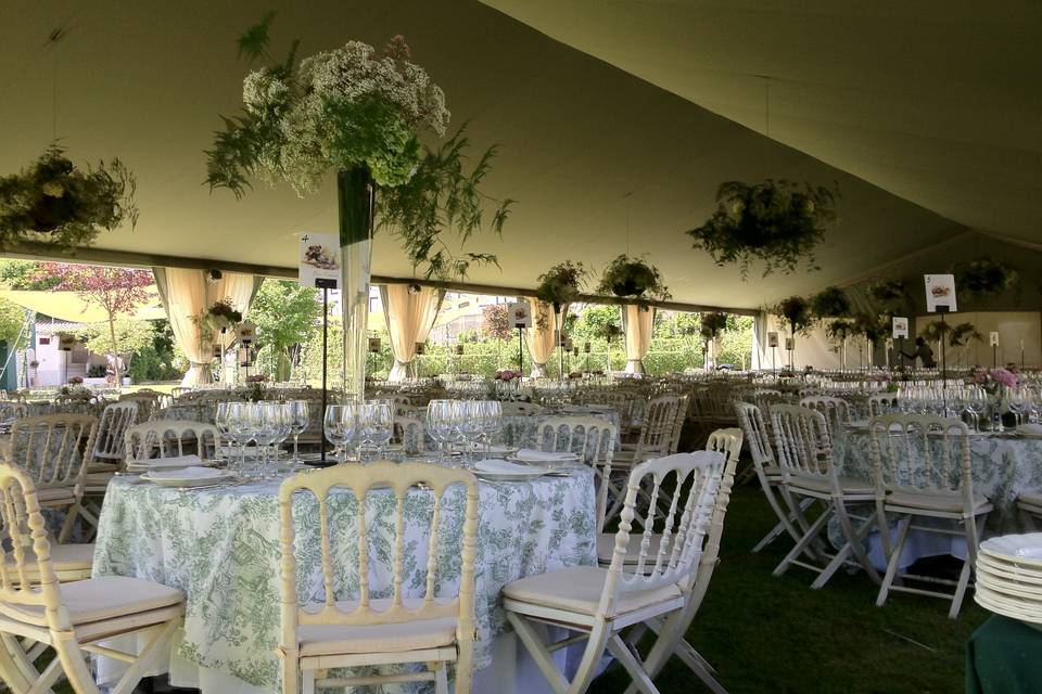 Carpa de 15 tapizada en verde