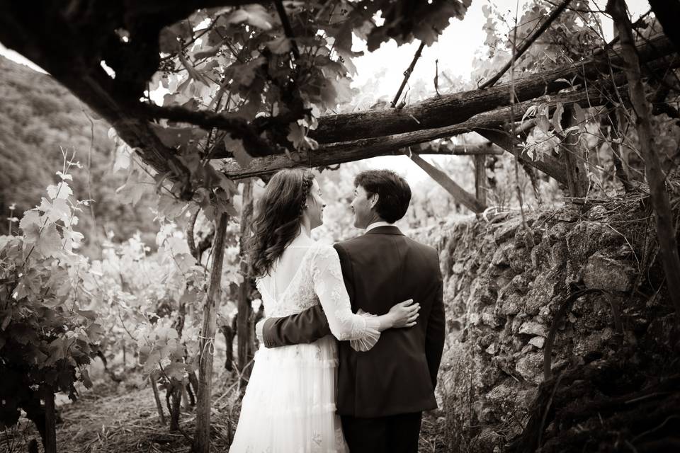 Sesión Postboda