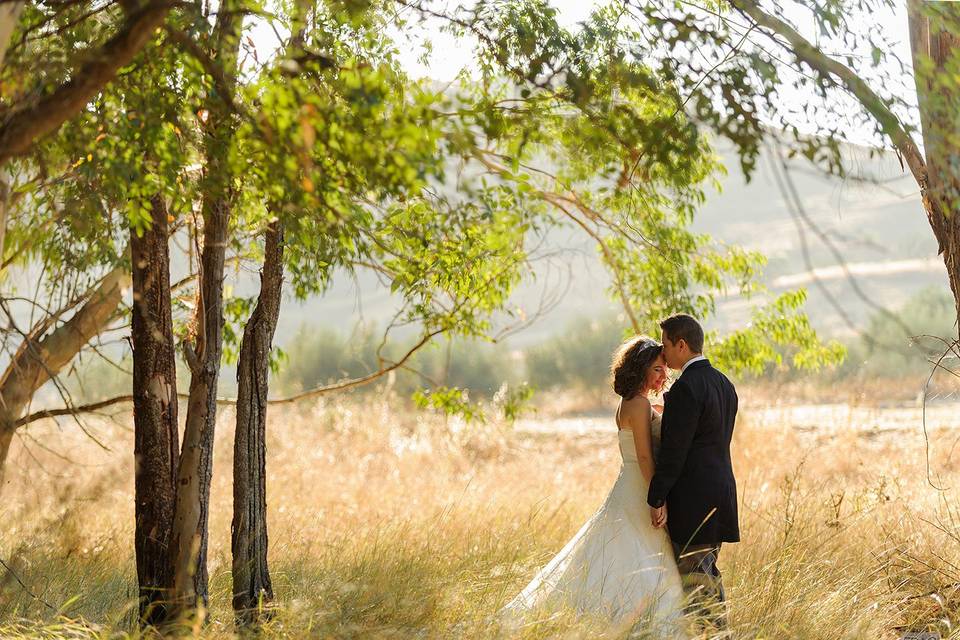 Fotografías de postboda