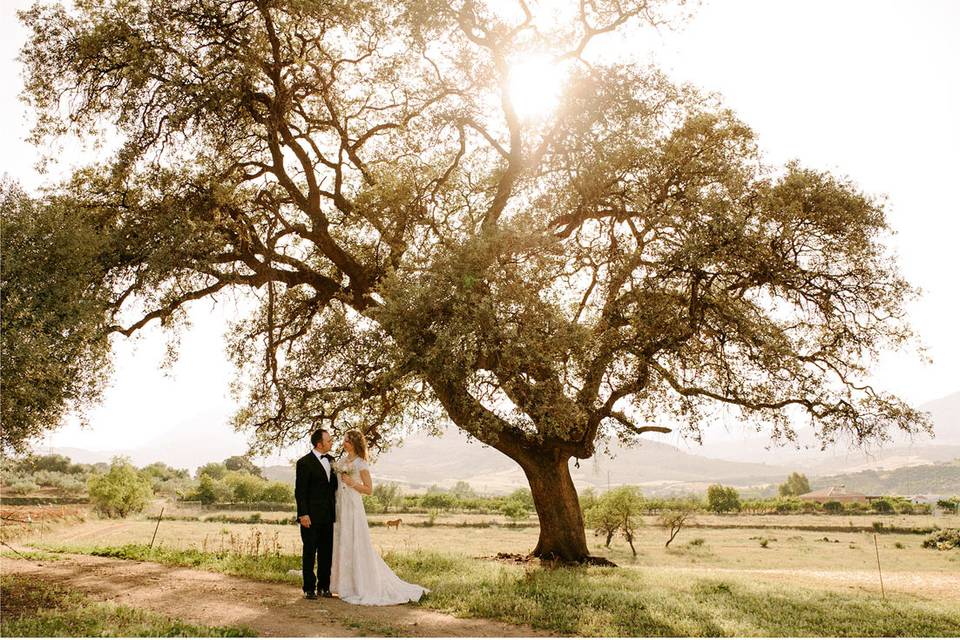 Día de la boda