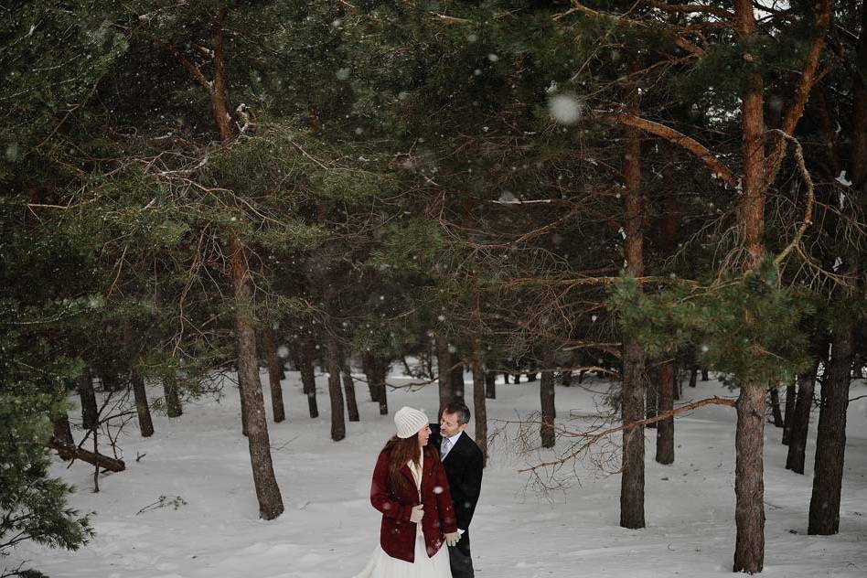 Postboda en la nieve en Granada