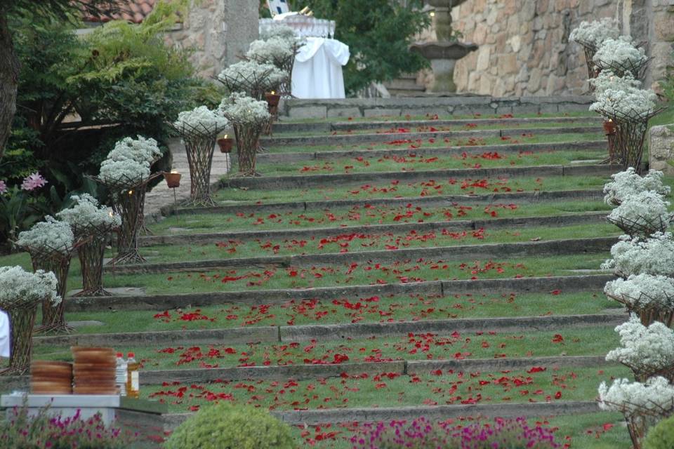 Escalinata con paniculata