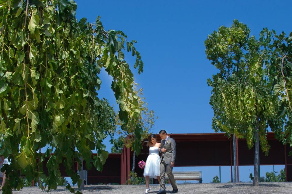 Foto Nacho Aragón