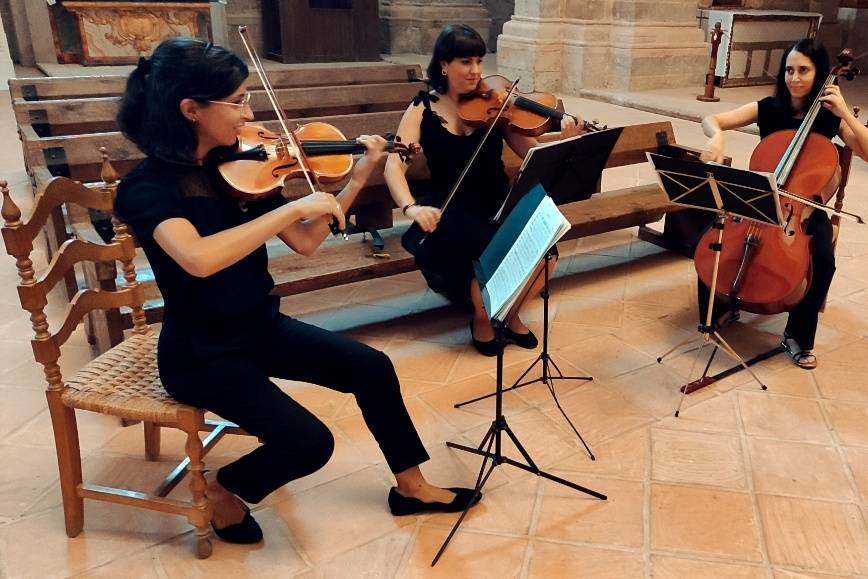 Wedding music trio