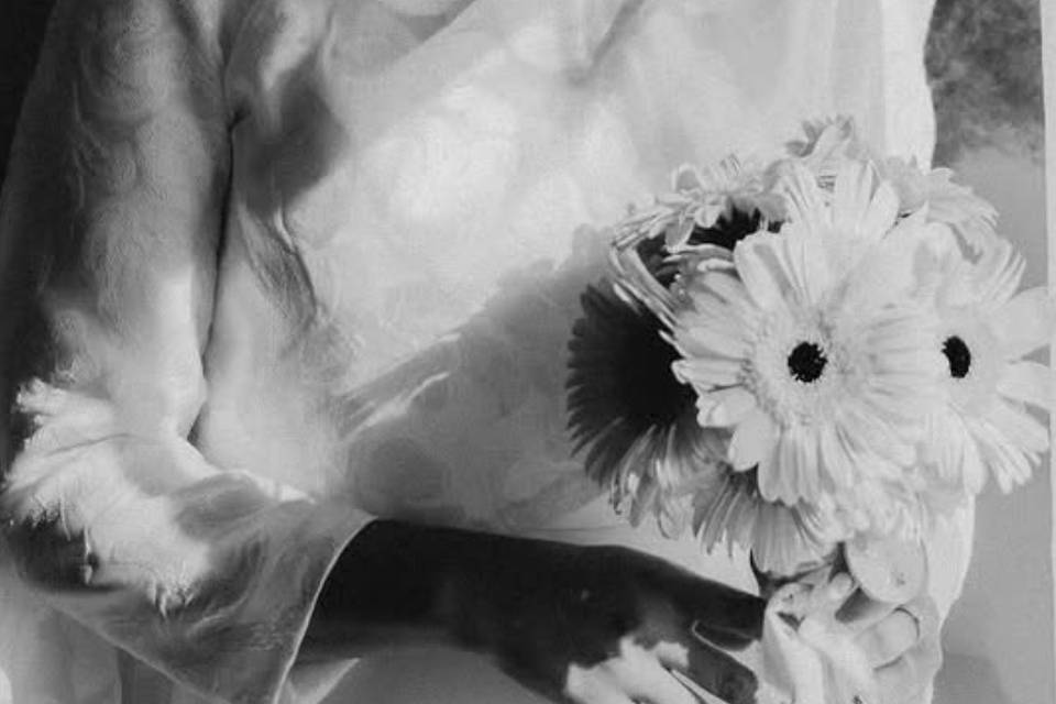 Novia. Foto: Siete segundos.