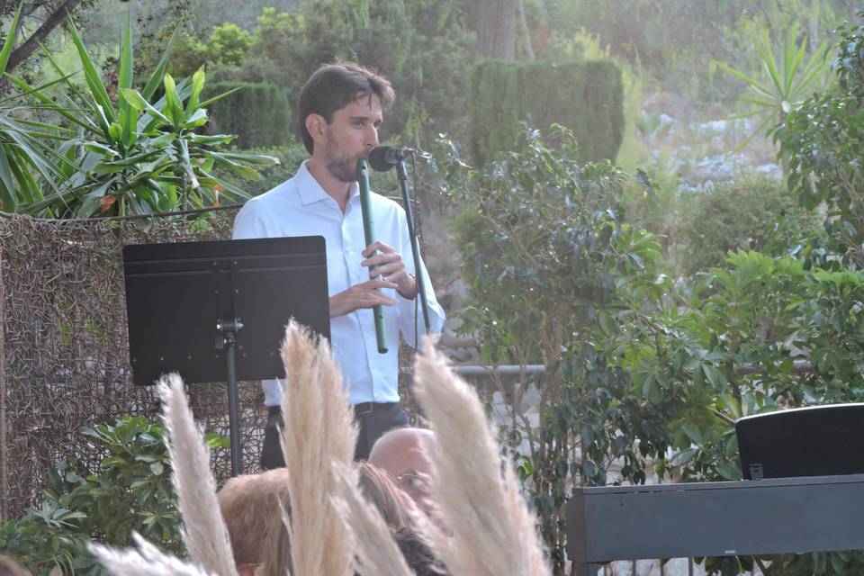 Boda Alicante