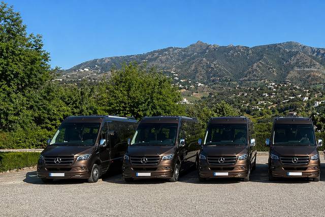 Flota minibuses VIP