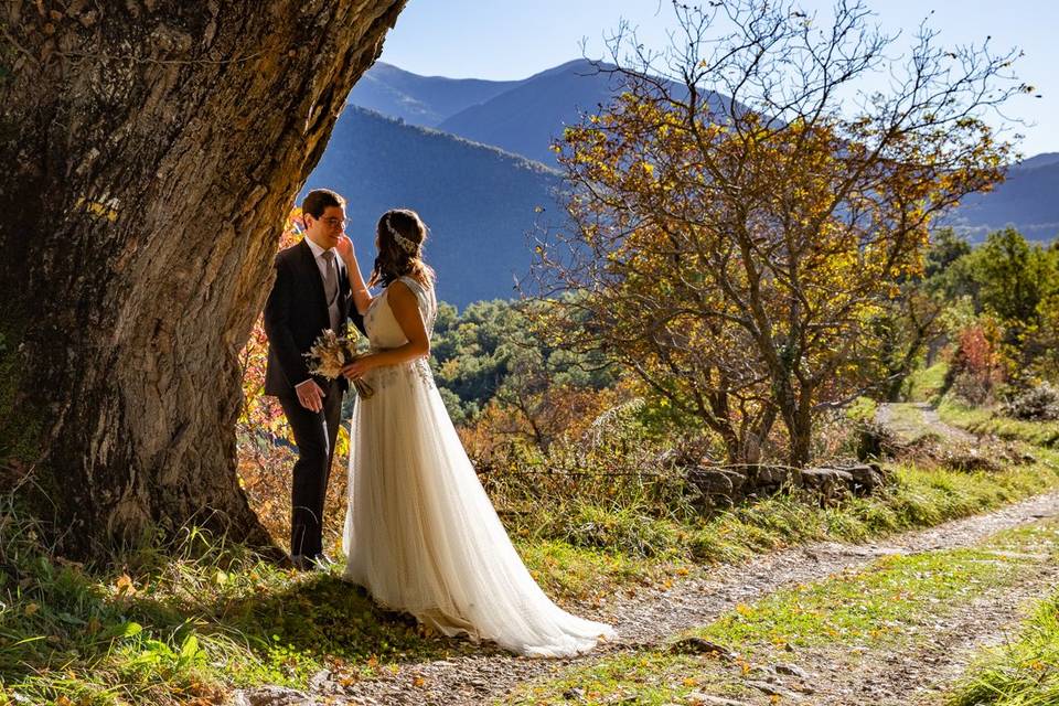 Postoboda Pirineo