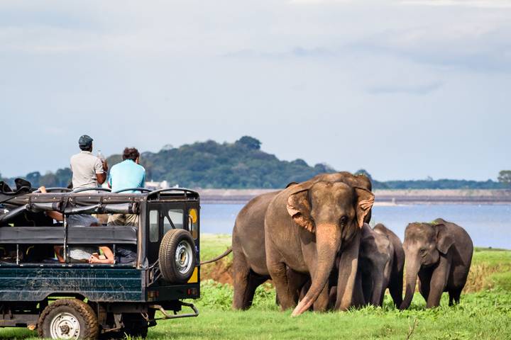 Habarana, Sri Lanka