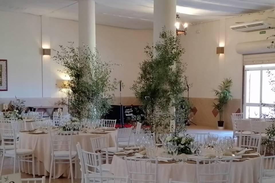 Eventos pazo's