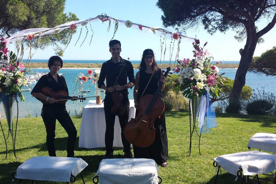 Strings Music Eventos