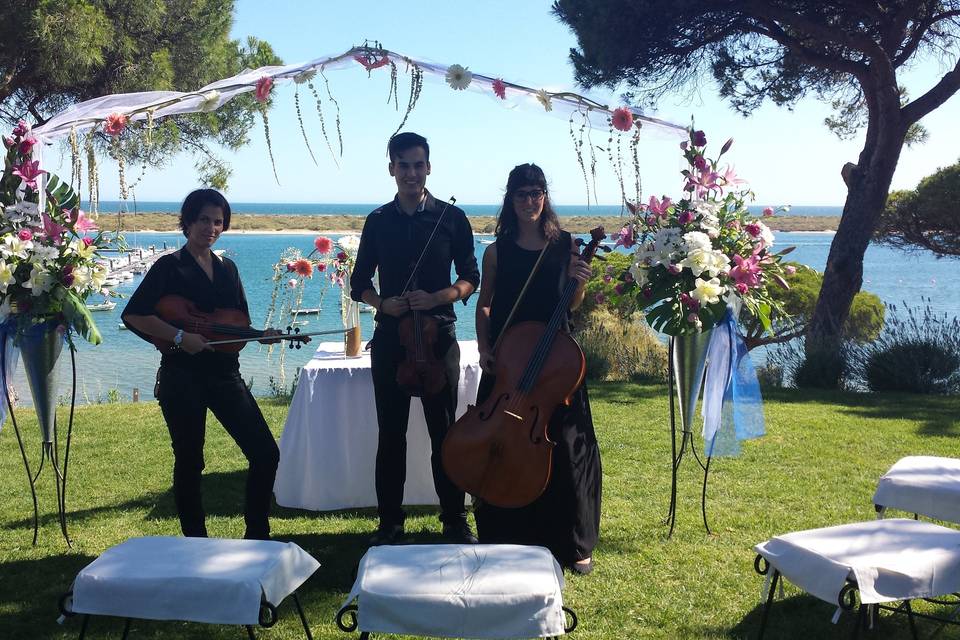 Strings Music Eventos