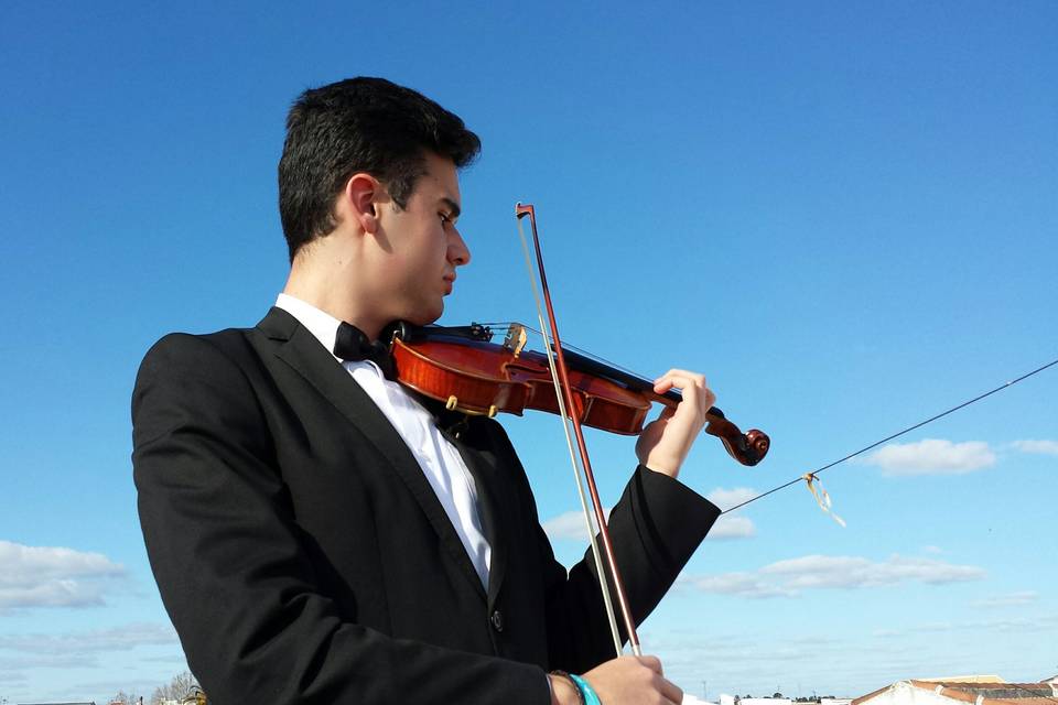 Violinista