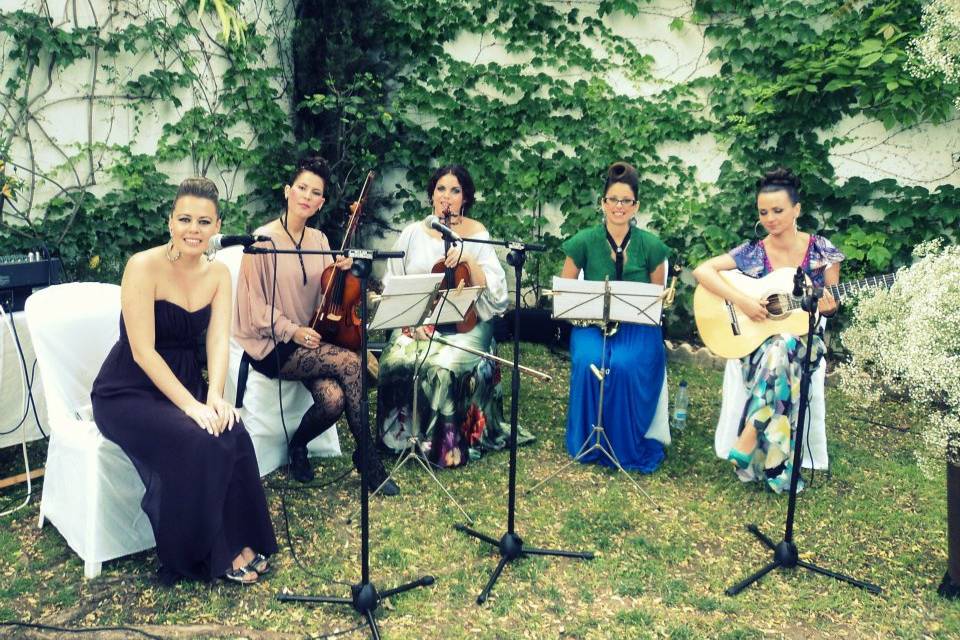 Strings Music Eventos