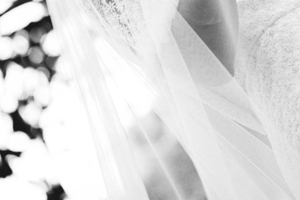 Novia