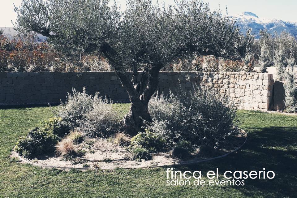 Finca El Caserío