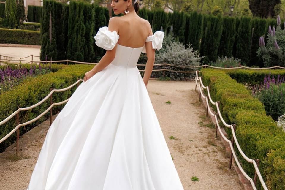 Novia 2027