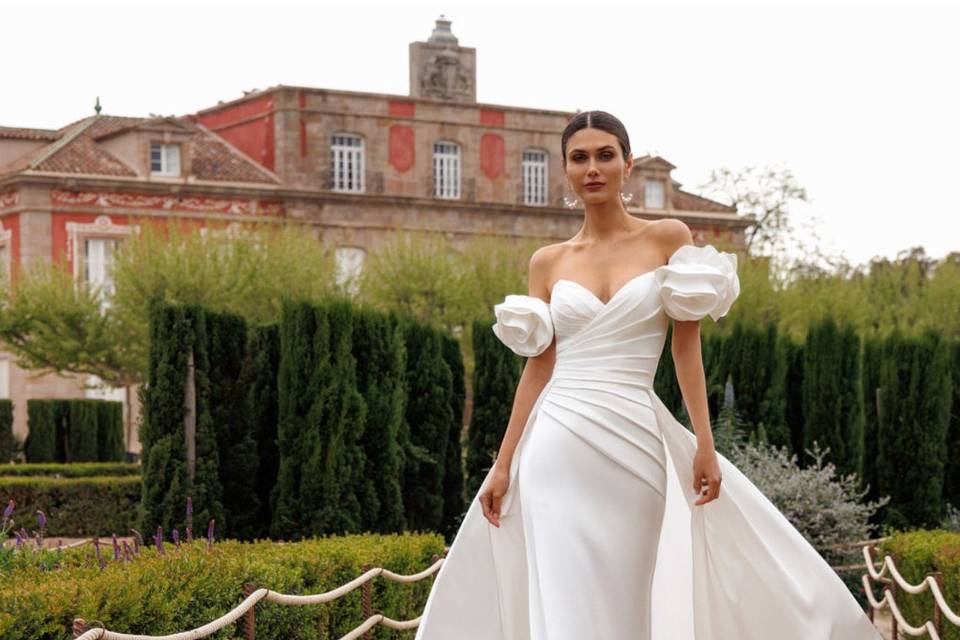 Novia 2027