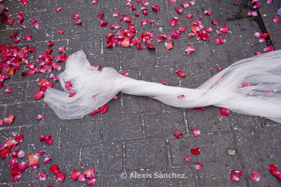 © Alexis Sánchez.