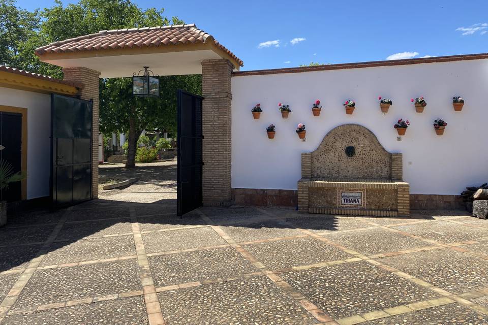 Patio