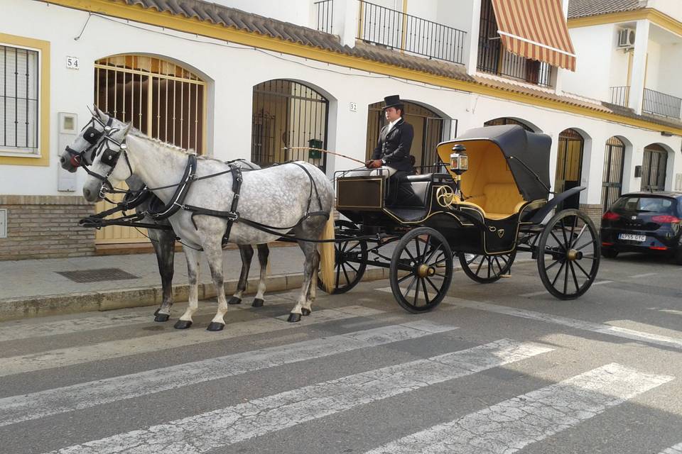 Esperando a la novia