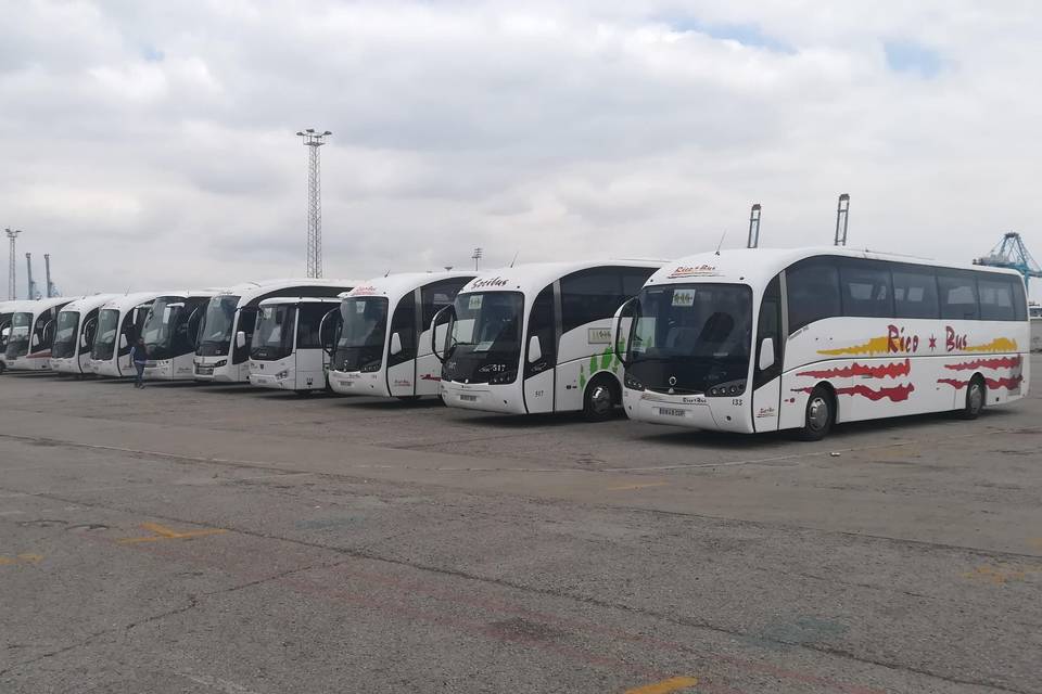 Autobuses del grupo Socibus