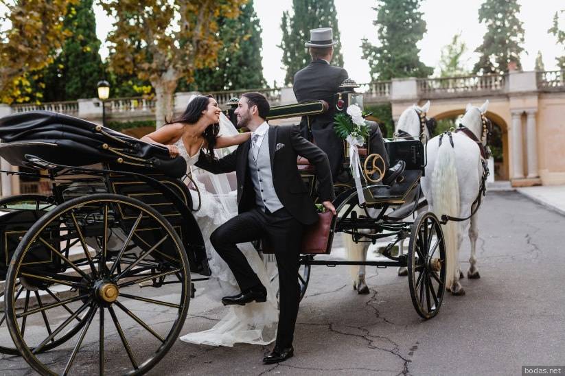 Coches de Caballos