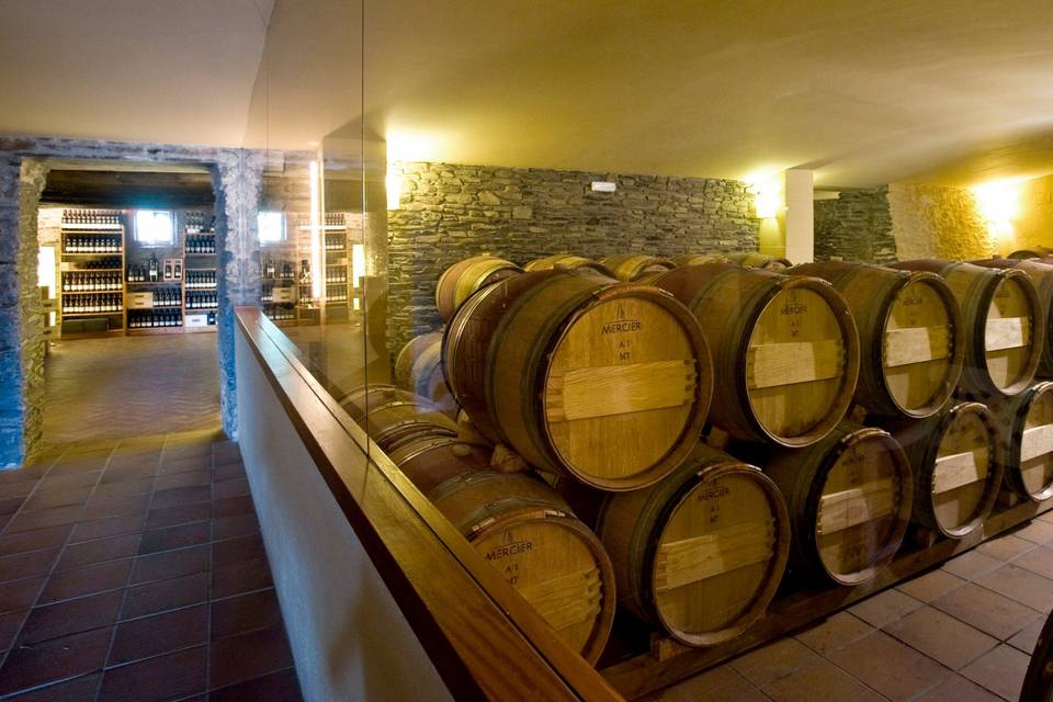 Celler Martín Faixó - Sa Perafita