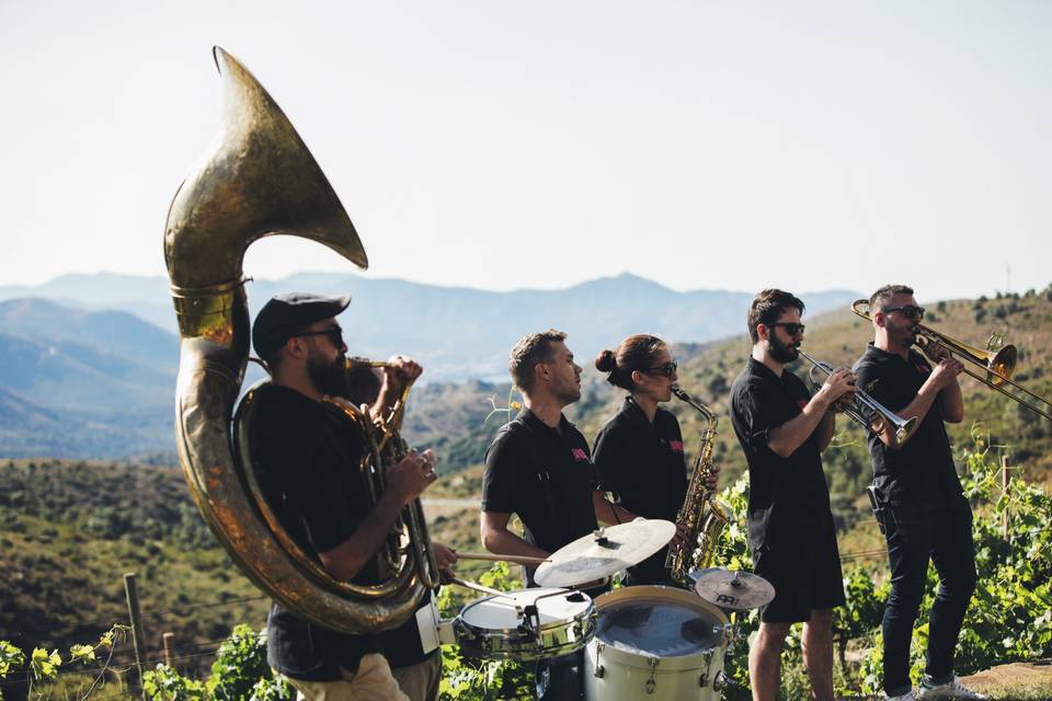 Celler Martín Faixó - Sa Perafita