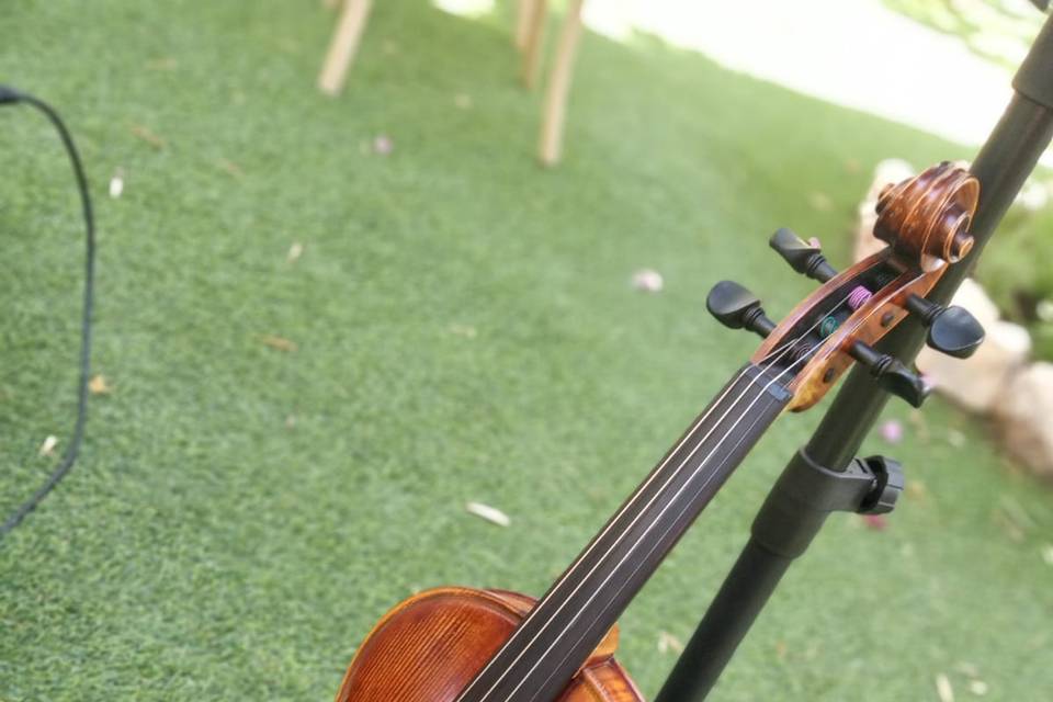 Ceremonia y cóctel en Lomamour
