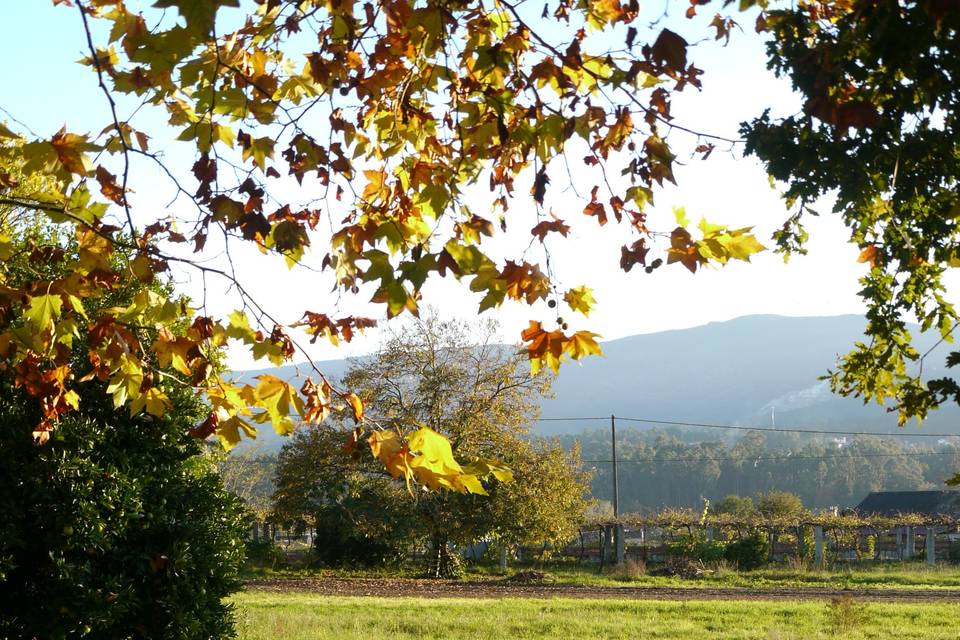 Vistas a portugal