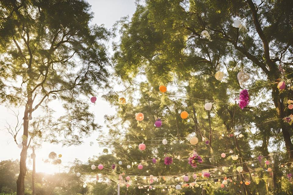 Boda al aire libre/ outdoor we