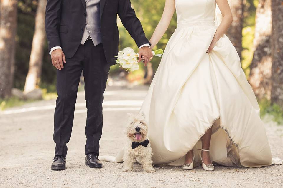 Acompañantes de la boda