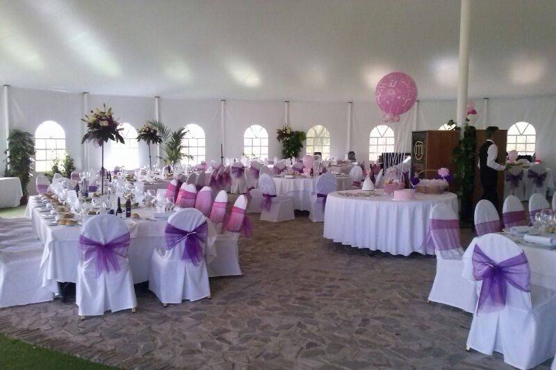 Interior carpa- boda