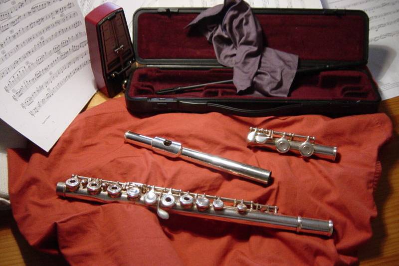 Concierto con flauta