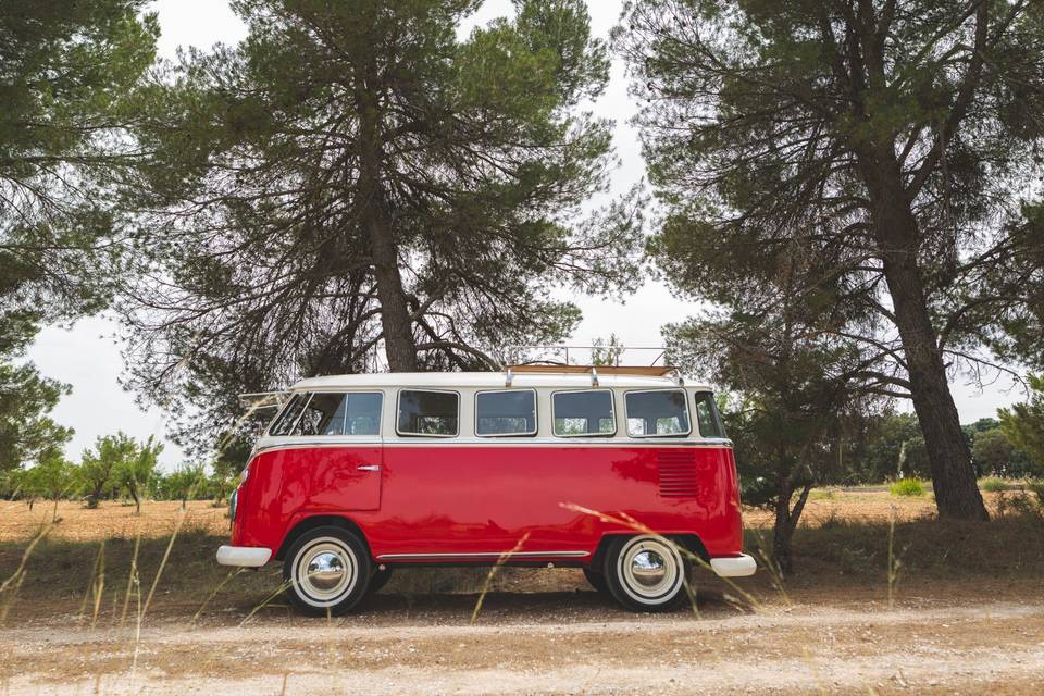 Volkswagen T1