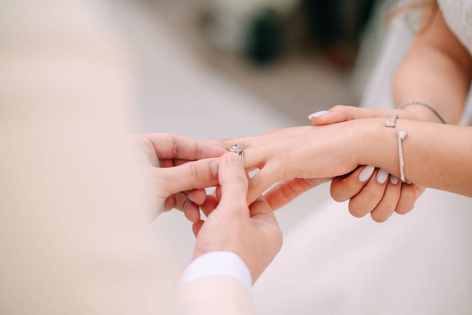 Anillos