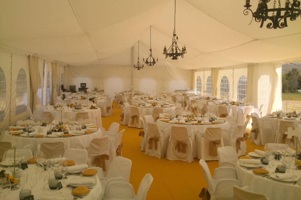 Interior carpa con tarima