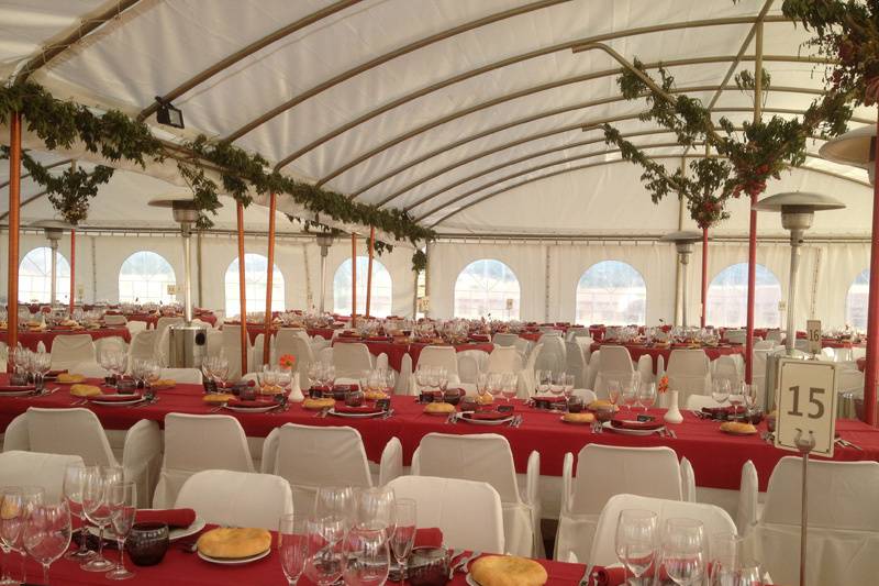 Interior carpa