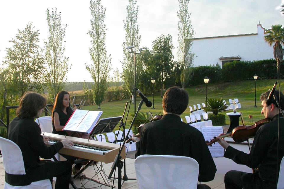 Cuarteto Schubert Sevilla