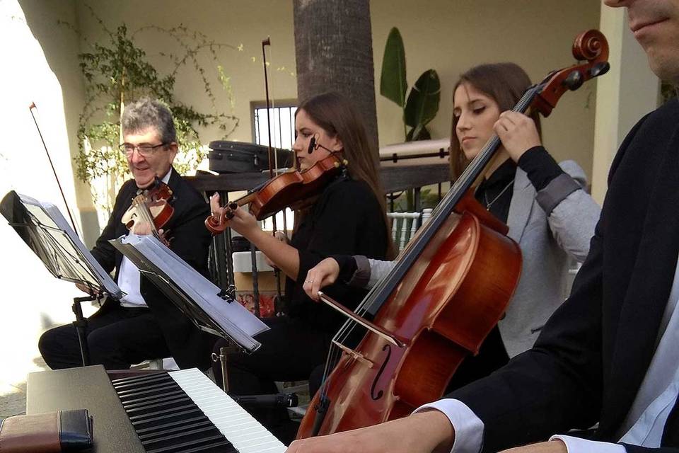 Cuarteto Schubert -Sevilla