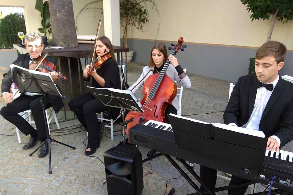 Cuarteto Schubert Coctel