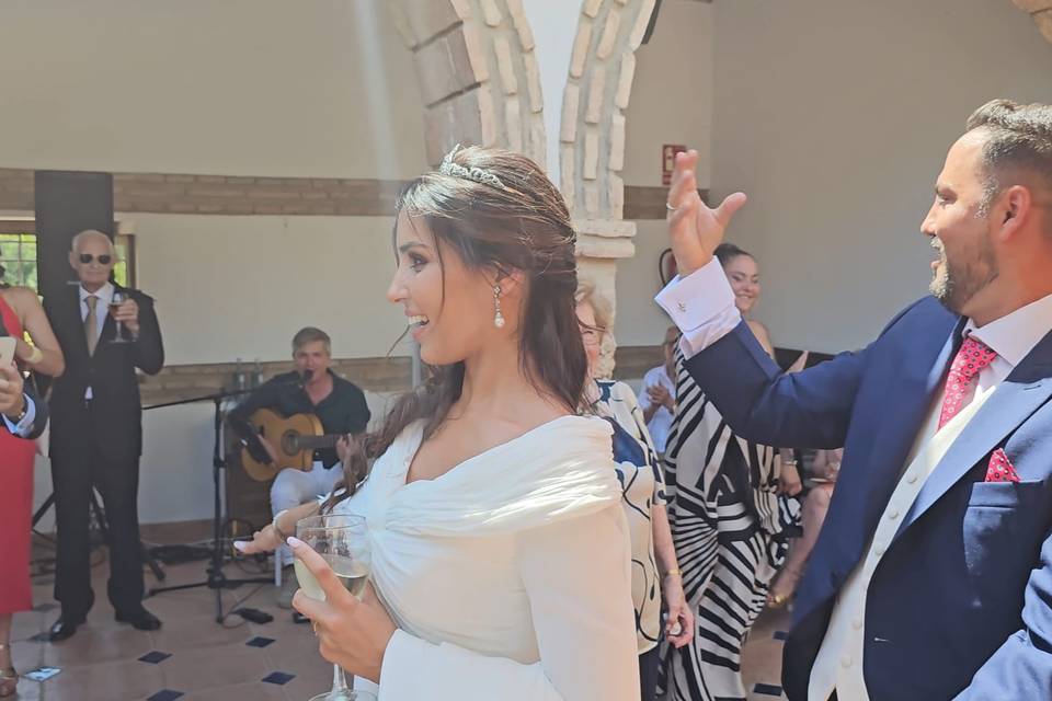 Amenización boda