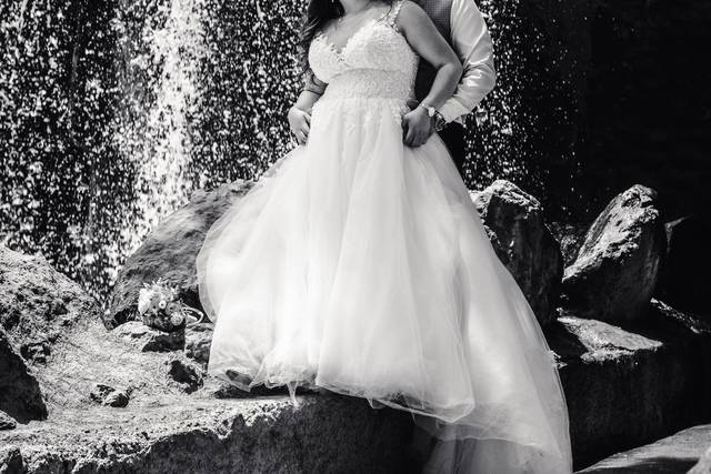 Wildlife Bodas Benidorm