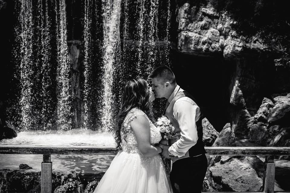 Wildlife Bodas Benidorm
