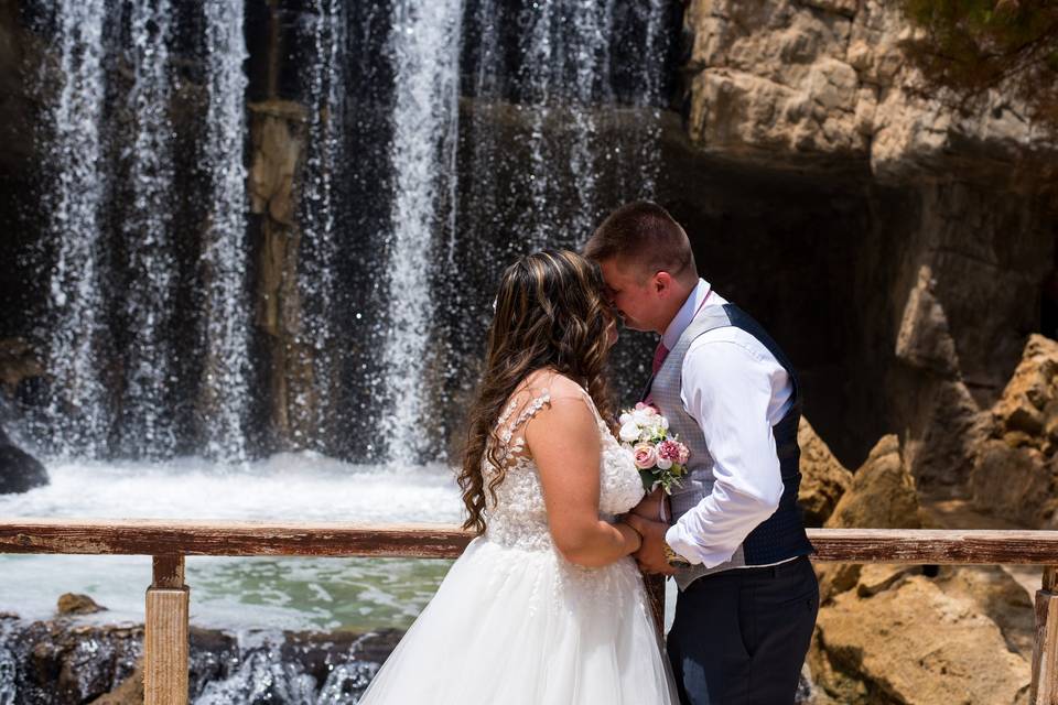 Wildlife Bodas Benidorm