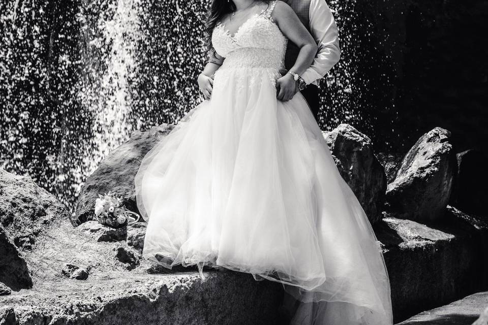 Wildlife Bodas Benidorm