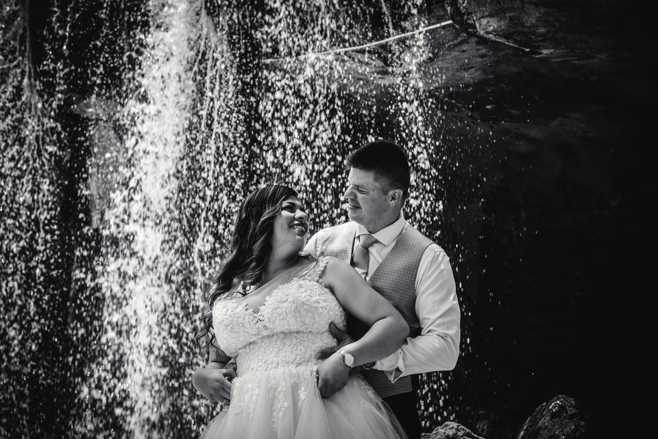 Wildlife Bodas Benidorm