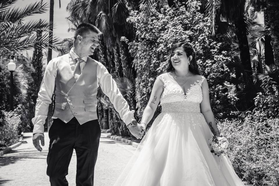 Wildlife Bodas Benidorm