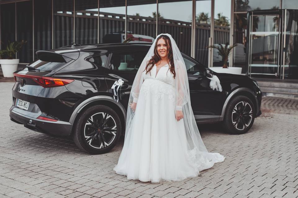 Wildlife Bodas Valencia